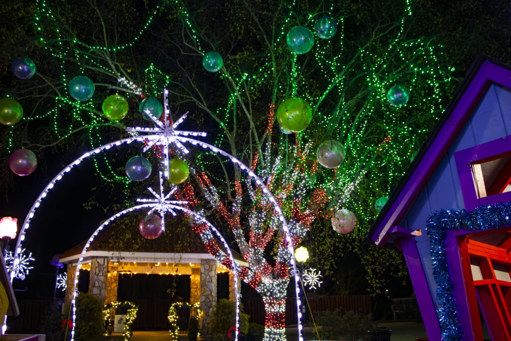 An area lit up with christmas lights including a tree wrapped in red and white lights and a small purple and blue building. 