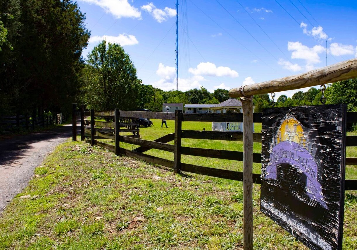 A fence with a painting of cows in it.