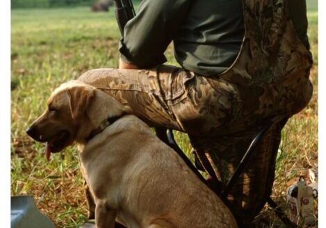 A man sitting in a chair with his dog.